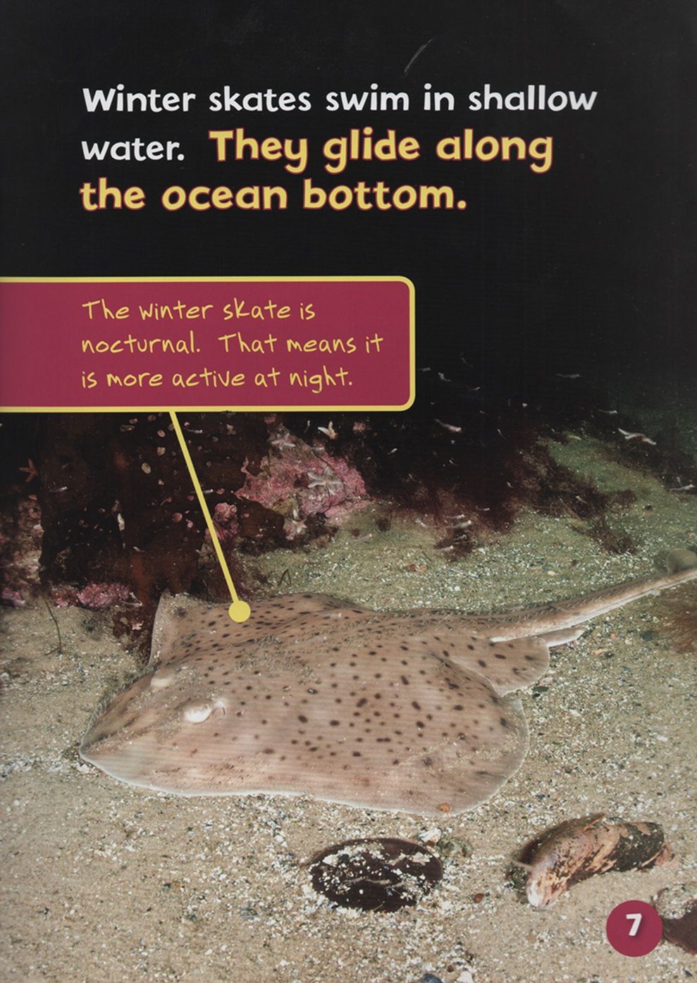 Endangered And Extinct Fish