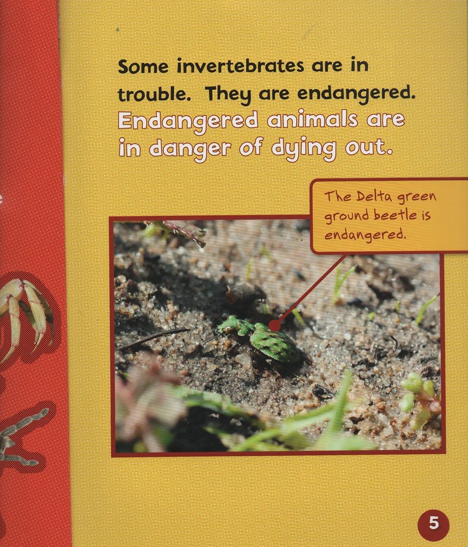 Endangered And Extinct Invertebrates