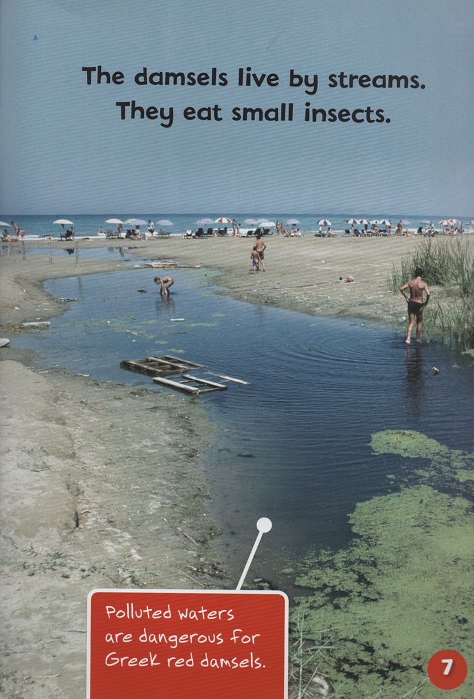 Endangered And Extinct Invertebrates