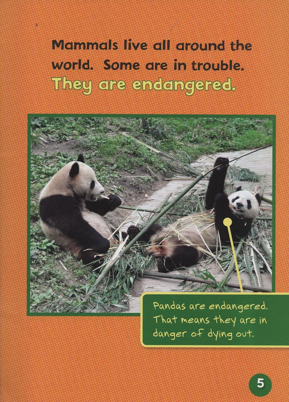 Endangered And Extinct Mammals