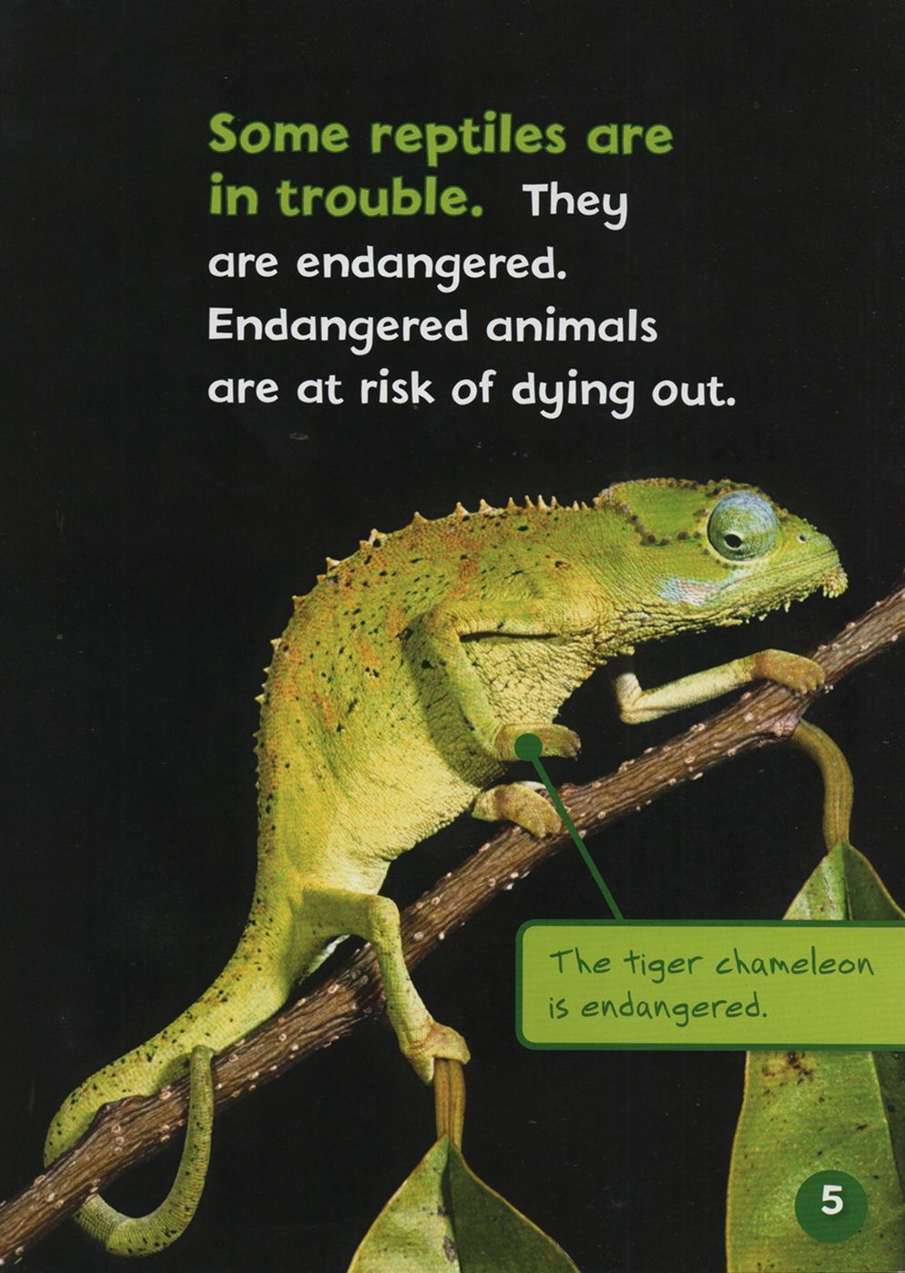 Endangered And Extinct Reptiles