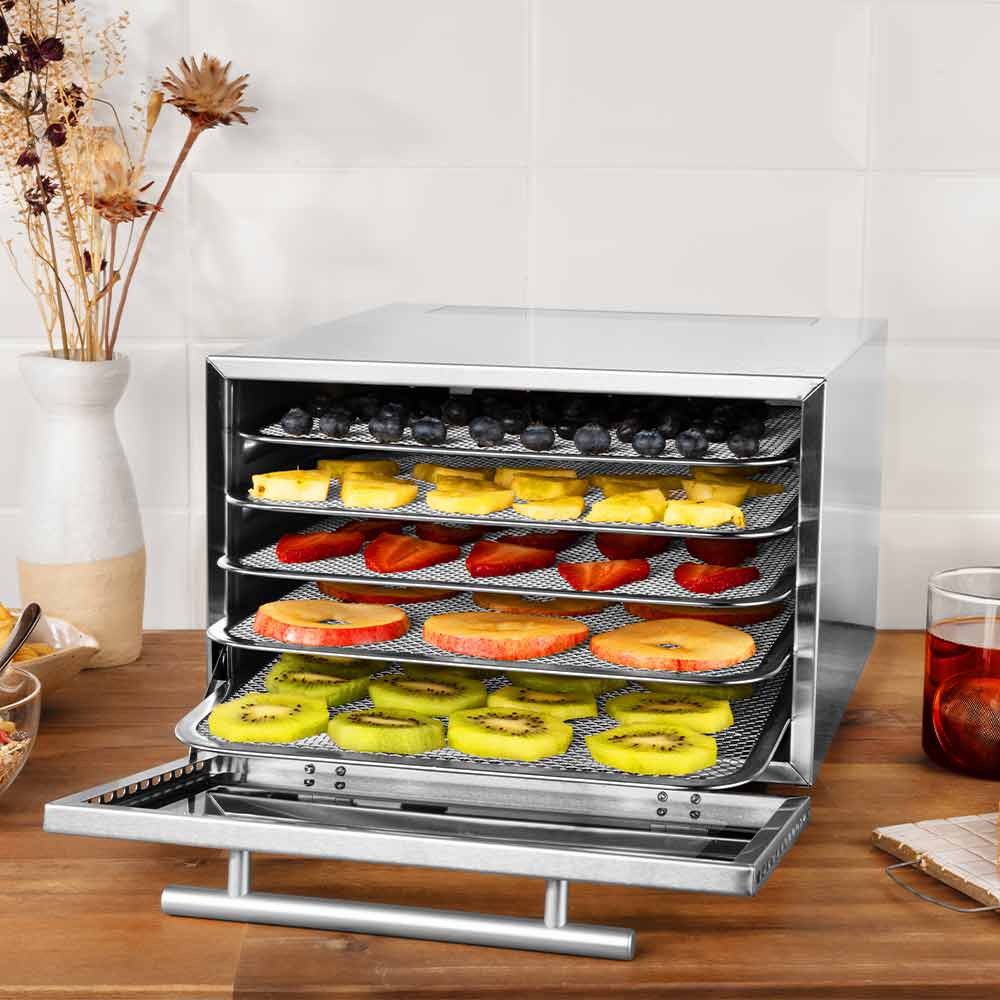 Gastroback Design Dehydrator Mini Professional Silver