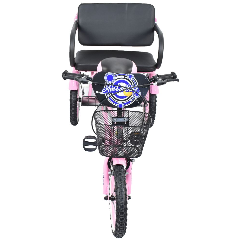 Amla - Large Tricycle w/ Back Seat - 16-Inch - Pink