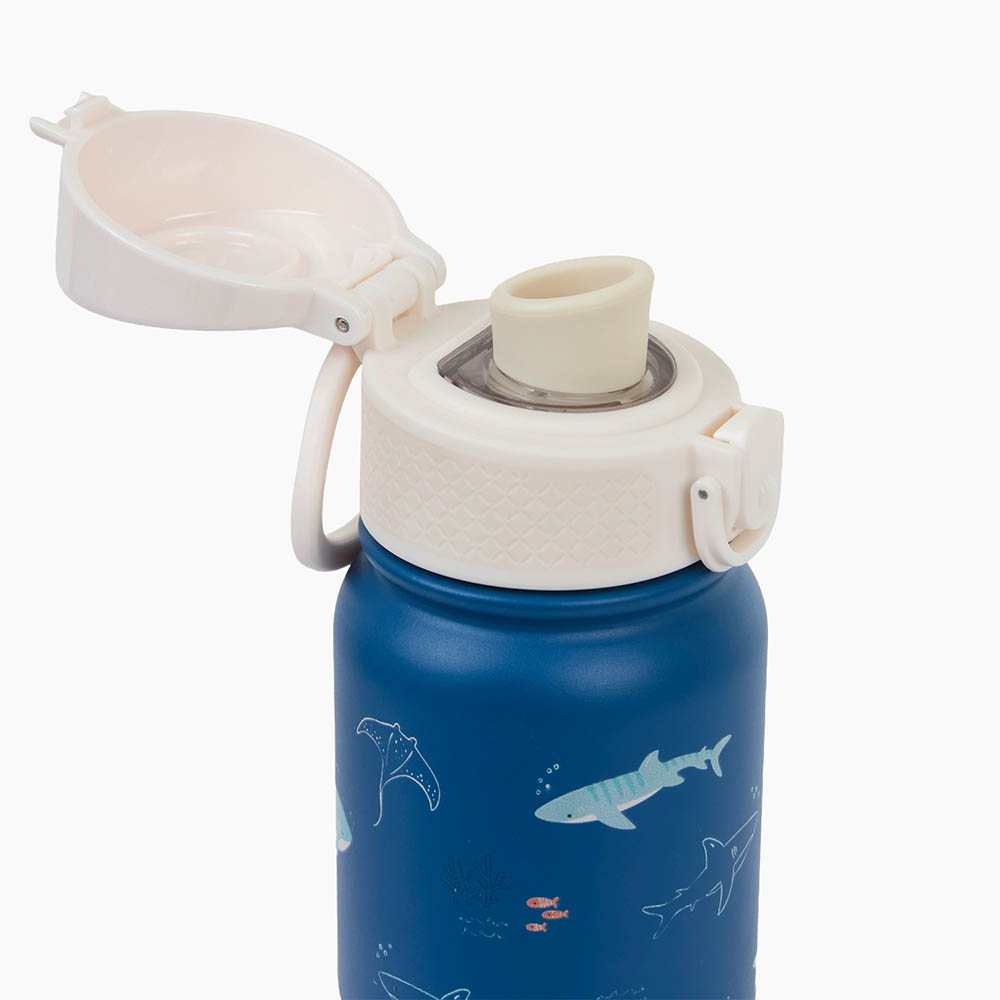 Little IA - Open Water Stainless Steel Bottle With Spout - Blue