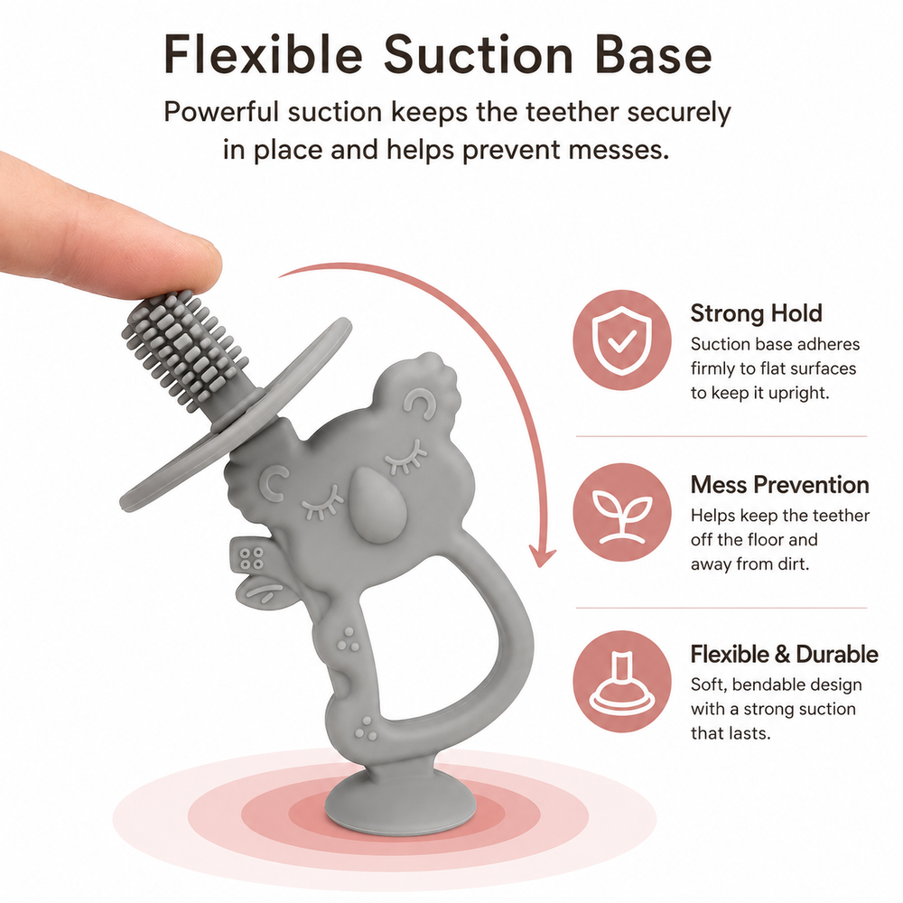 Maxims - Koala Baby Teether And Training Toothbrush