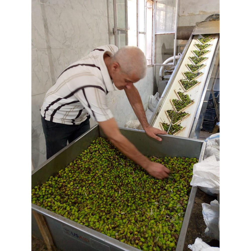 Mounit Baytna - Extra Virgin Olive Oil - 5 L