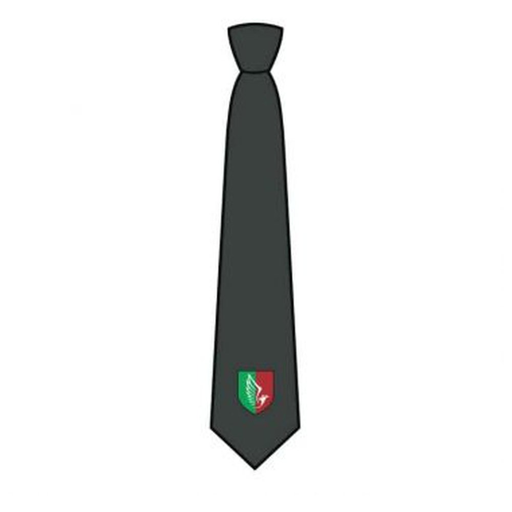 Boys Clip-On Tie - Green - Grades 1-6 - GEMS Al Barsha National School