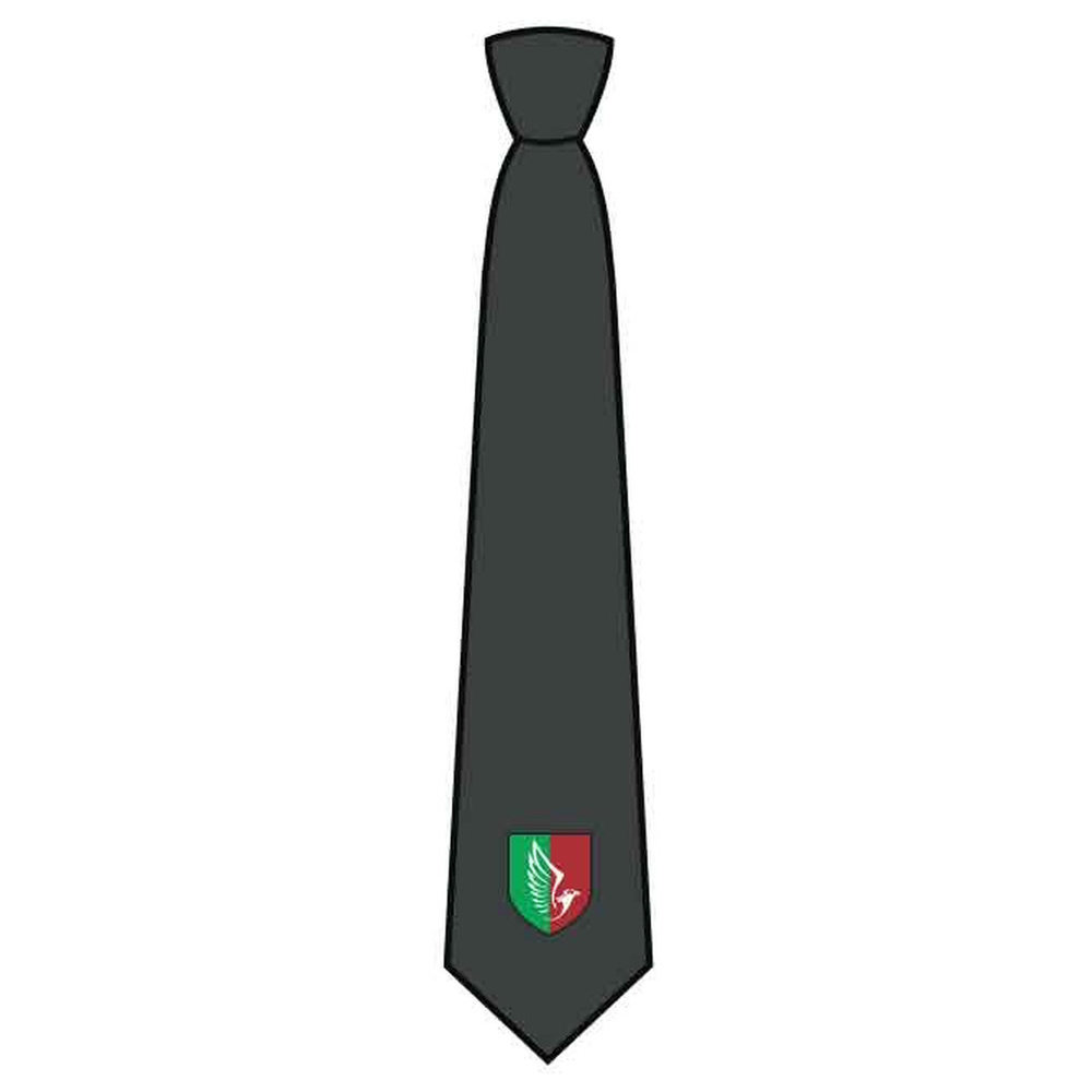 Girls Full Tie - Grade 7-11 - GEMS National School - Girls