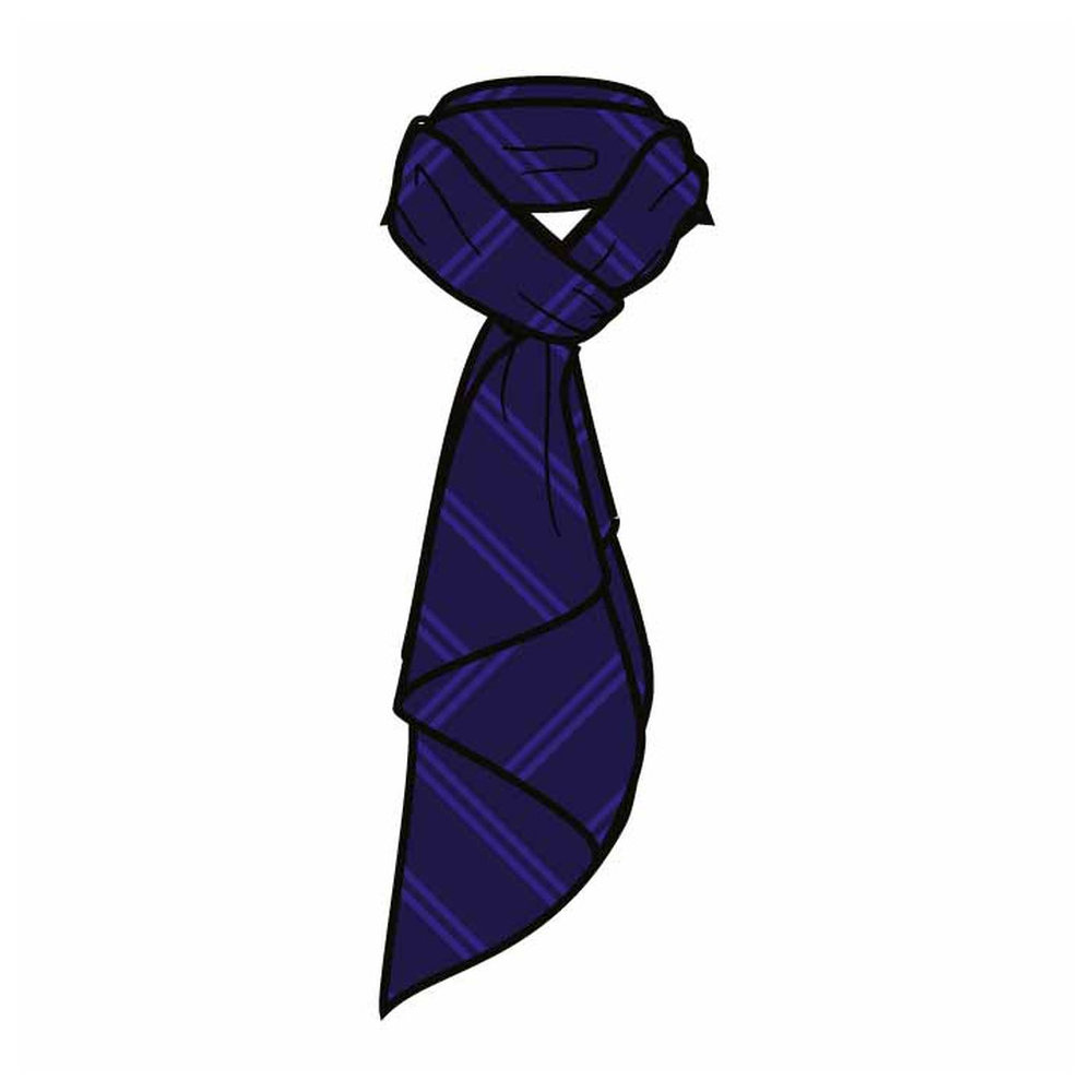Scarves - Blue - Grades 7-13 - The Westminster School - Dubai
