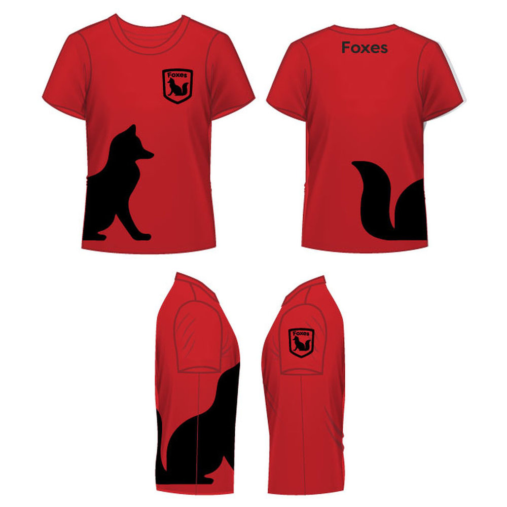 House T-Shirt - Red - GEMS American Academy - Abu Dhabi