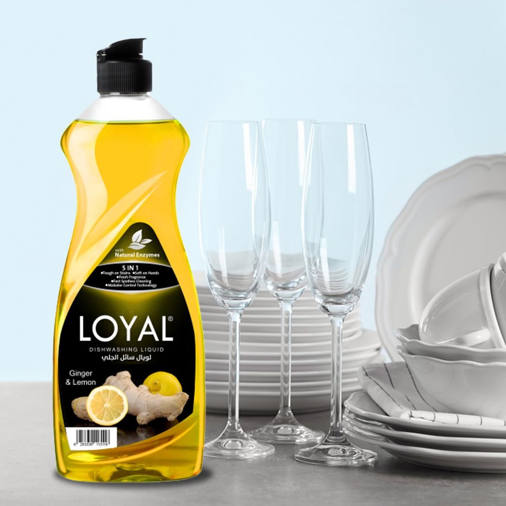 Loyal Ginger & Lemon Dishwashing Liquid - 700 ml