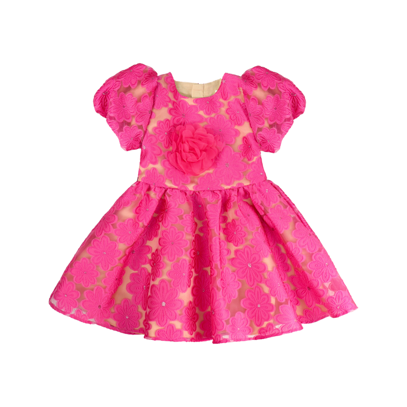Smart Baby Baby Girl's Embroidered Party Dress - Pink