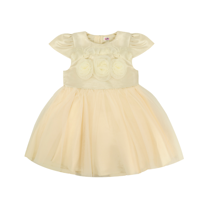 Smart Baby Baby Girl's Mesh Rose Tulle Party Dress - Beige