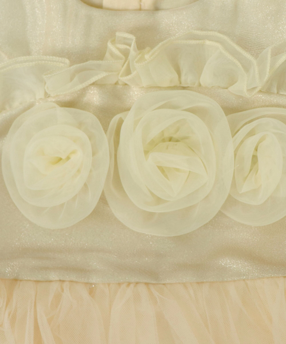 Smart Baby Baby Girl's Mesh Rose Tulle Party Dress - Beige