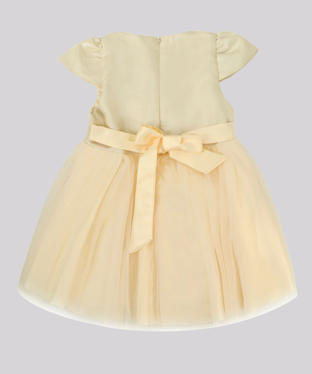Smart Baby Baby Girl's Mesh Rose Tulle Party Dress - Beige