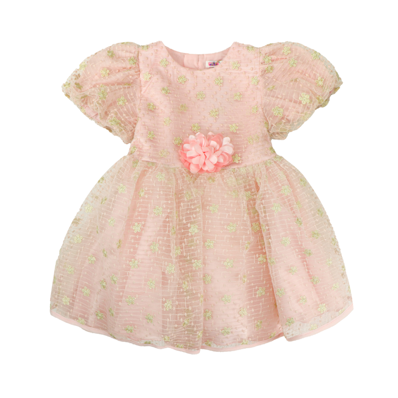 Smart Baby Baby Girl's Cap Sleeves Embroidered Party Dress - Pink