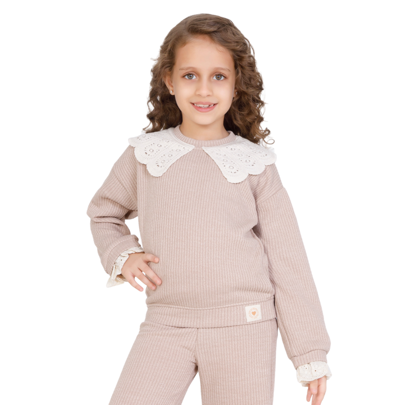 Little Kangaroos Girl's Round Neck Embroidered Sweater - Pink