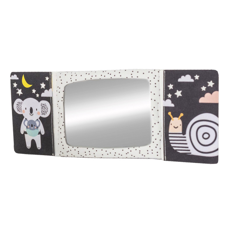 Taf Toys - Tummy-time Mirror Book