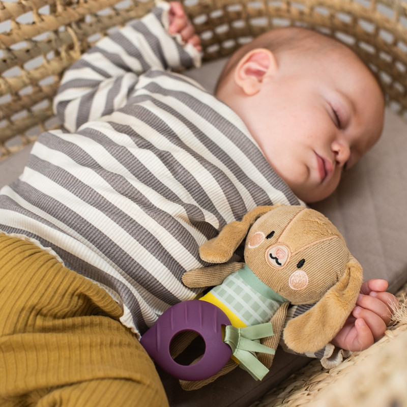 Taf Toys - Jenny The Bunny