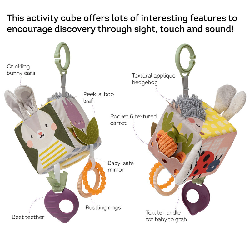 Taf Toys - Urban Garden Activity Cube