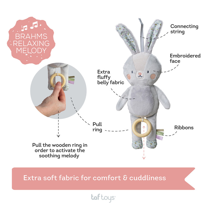 Taf Toys - Rylee Musical Bunny