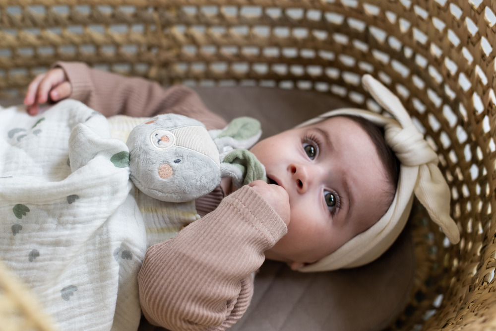 Taf Toys - Bunny Blankie