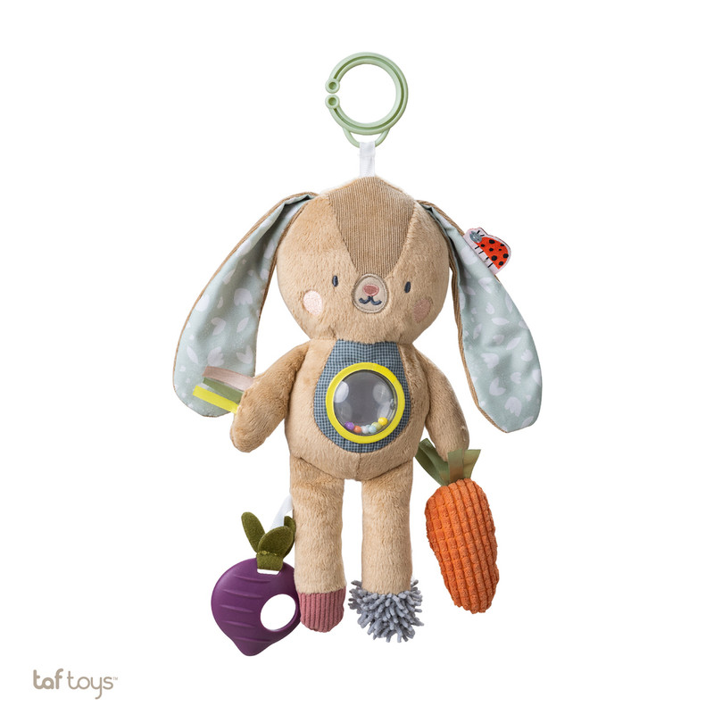 Taf Toys - Jenny Activity Toy