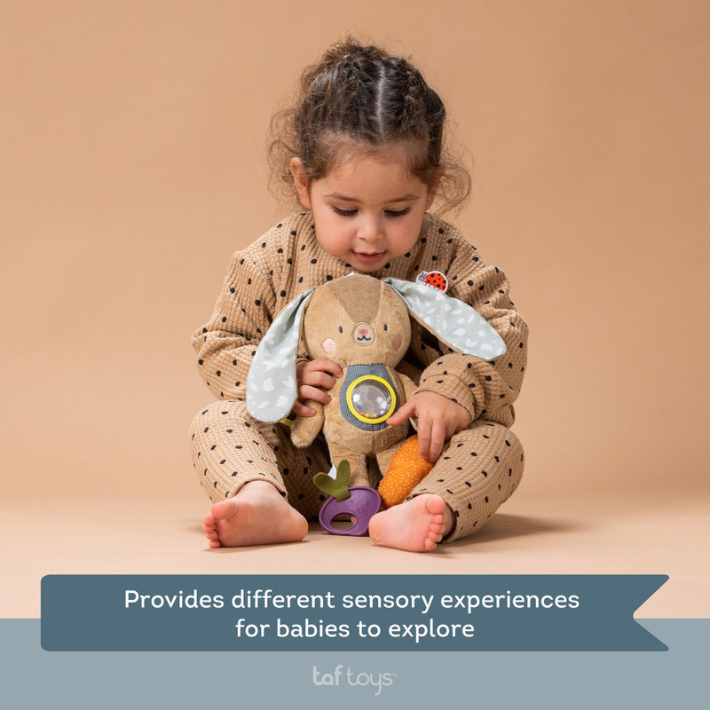 Taf Toys - Jenny Activity Toy