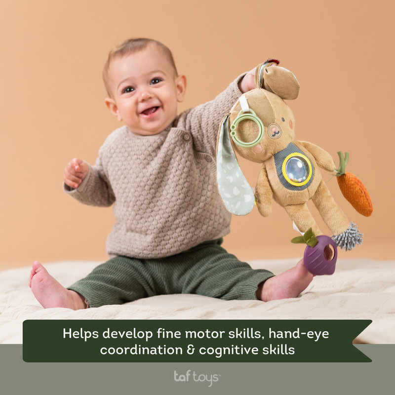 Taf Toys - Jenny Activity Toy