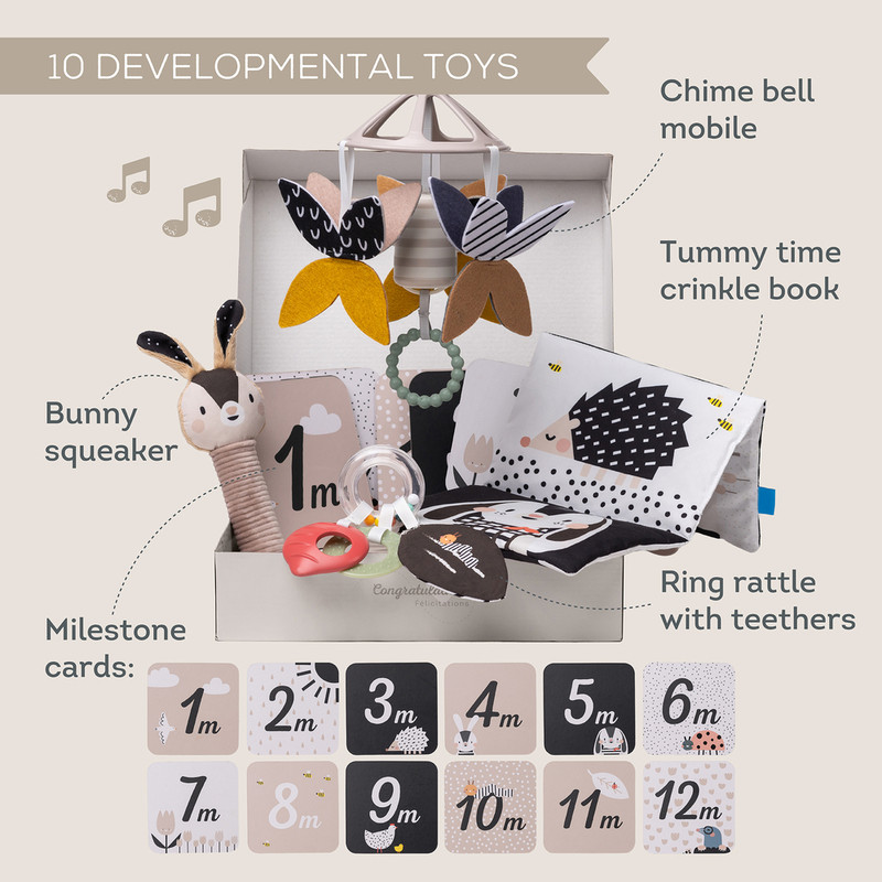 Taf Toys - Newborn Black & White Kit