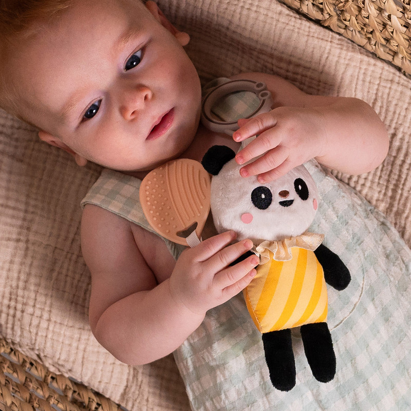 Taf Toys - Pamela Activity Toy