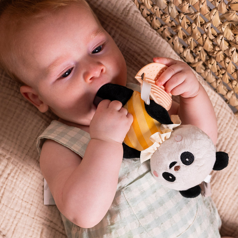 Taf Toys - Pamela Activity Toy