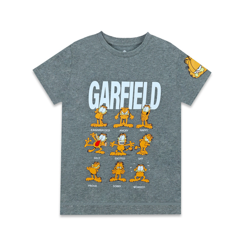 Nickelodeon Garfield Moods Boy's Short Sleeve T-Shirt - Grey