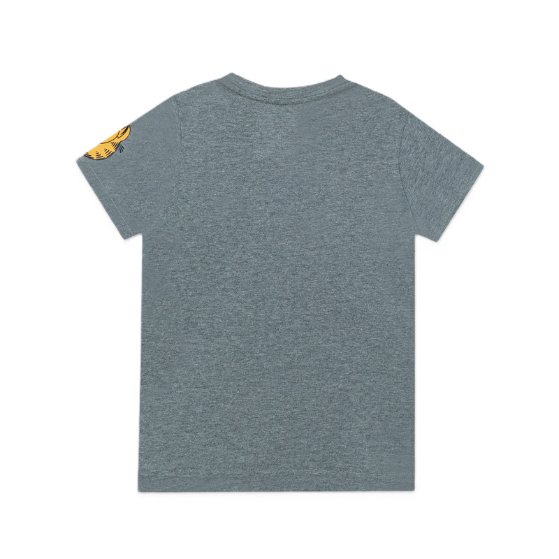 Nickelodeon Garfield Moods Boy's Short Sleeve T-Shirt - Grey