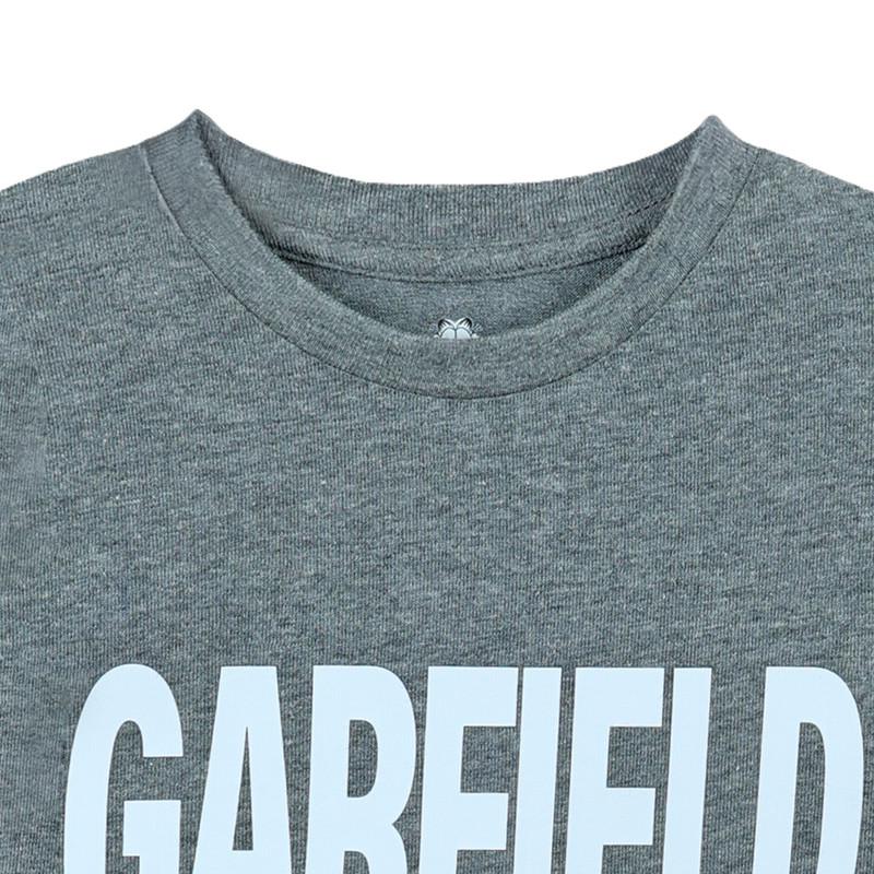 Nickelodeon Garfield Moods Boy's Short Sleeve T-Shirt - Grey
