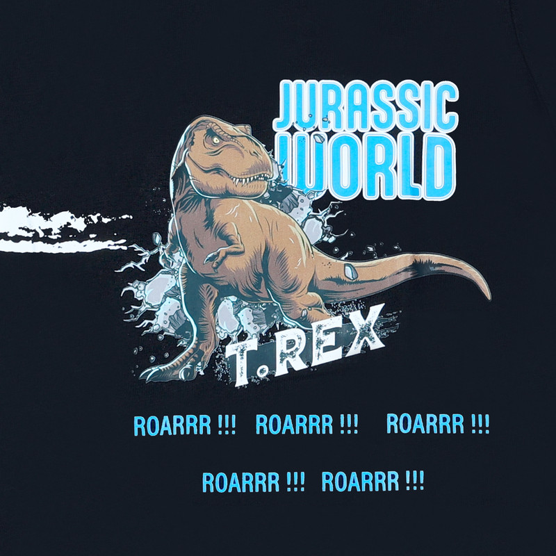 Universal Studios Boy's Jurassic World Printed Short Sleeves T-Shirt - Black