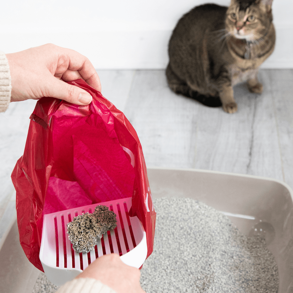 Ubbi - Litter Scoop - White