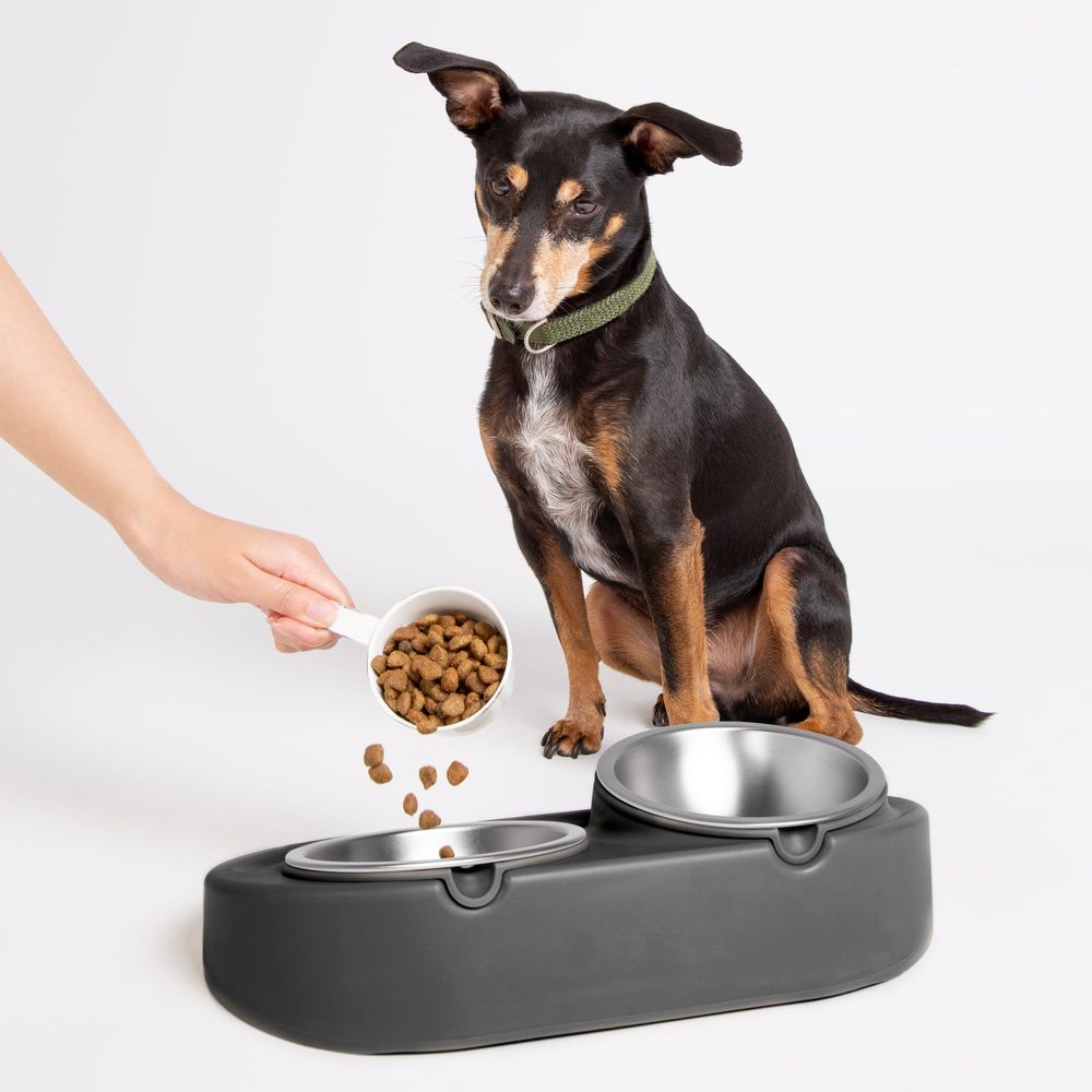 Ubbi Pet Feeding Bowl