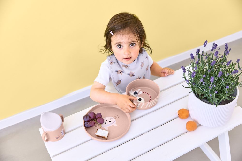لاسيج - طقم أطباق صغيرة من البولي بروبيلين/السليلوز - قطة - طقم من 4 قطع