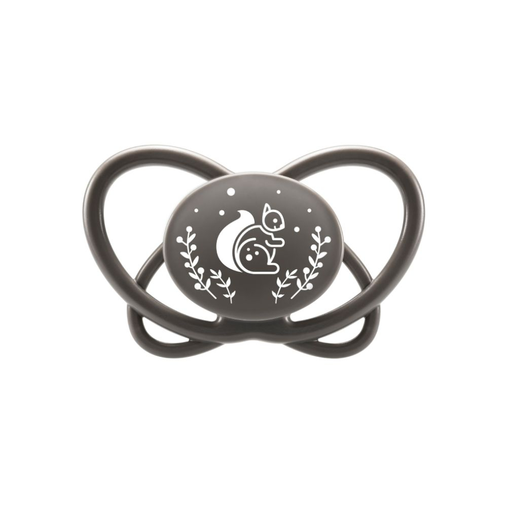 Nip - Butterfly Soother With Sterilizer Box 5-18M - Grey - 2 pcs