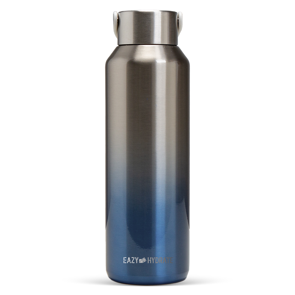 Eazy Kids - Stainless Steel Water Bottle - Silver - 710ml