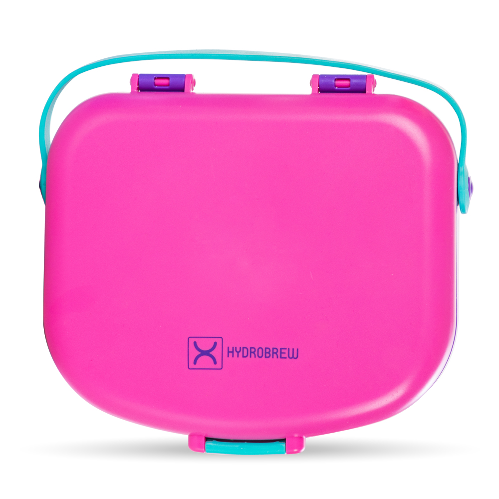Hydrobrew - 4 Compartment Bento Lunch Box With Spoon & Fork Set - Fuchsia