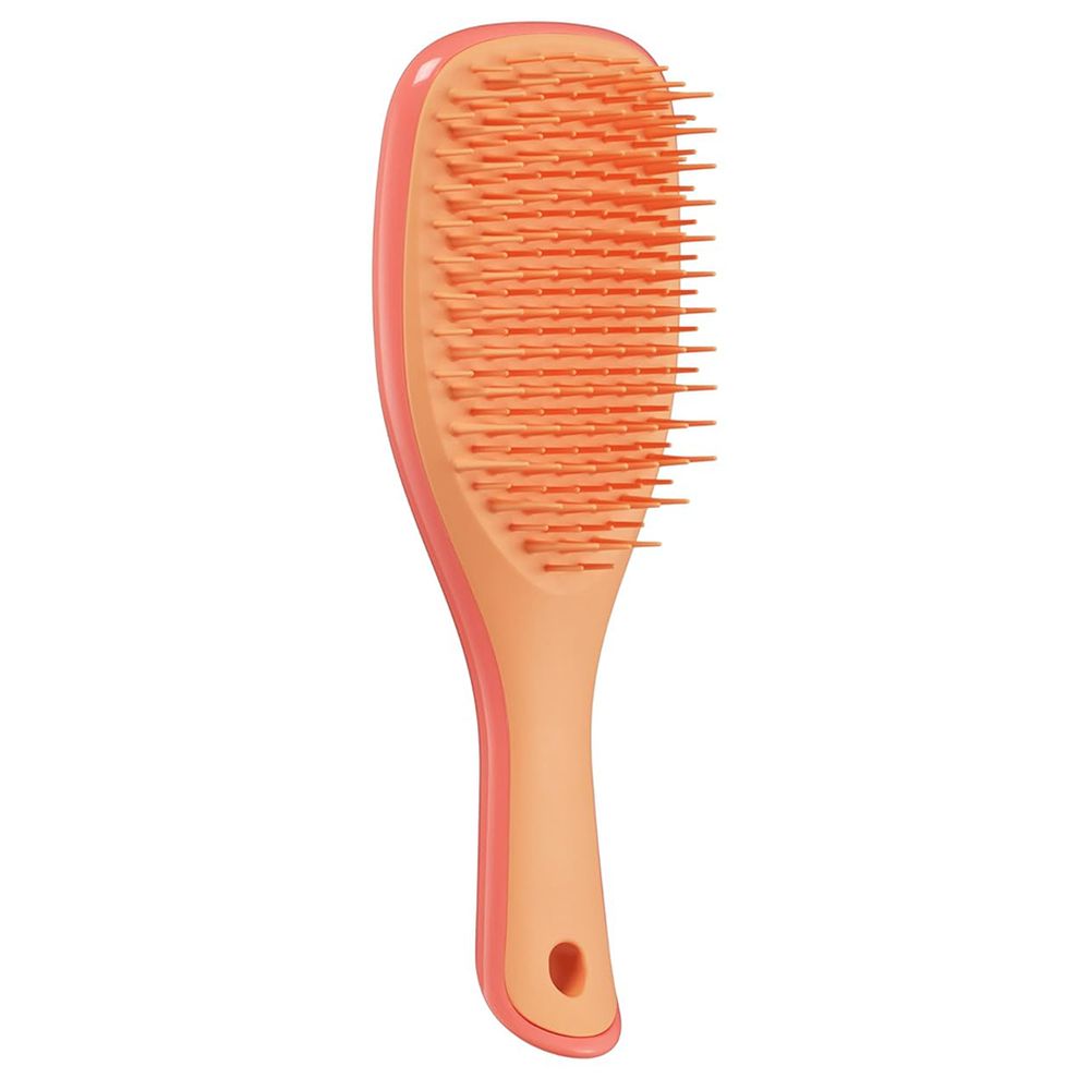 فرشاة الشعر تانجل تيزر - فرشاة فك تشابك الشعر المثالية - صغيرة