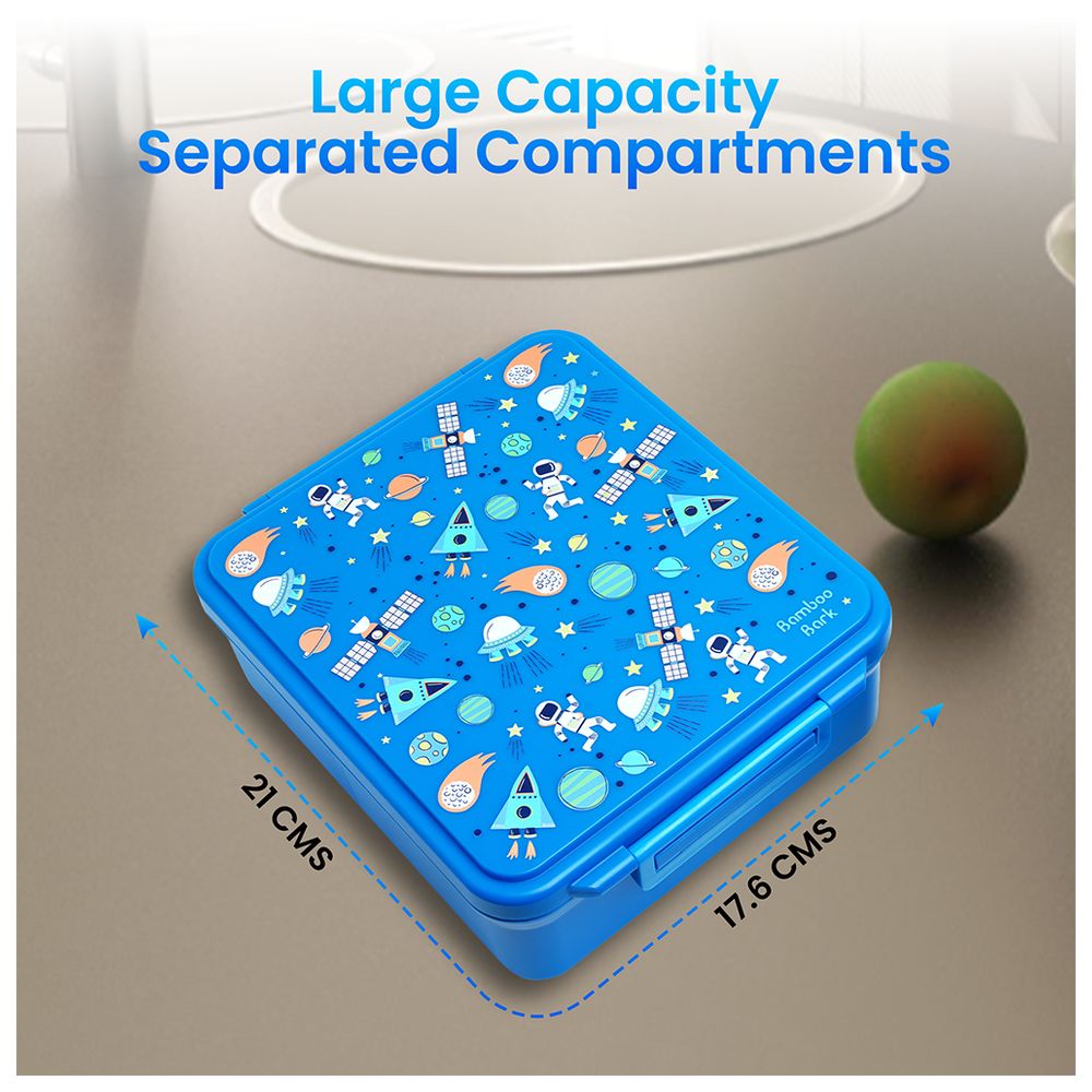 Bamboo Bark - 4-Compartment Lunch Box - Astro Space