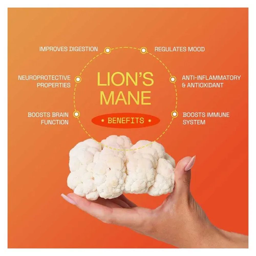 Health Nag - Lion's Mane Mushroom Powder - 25 Servings