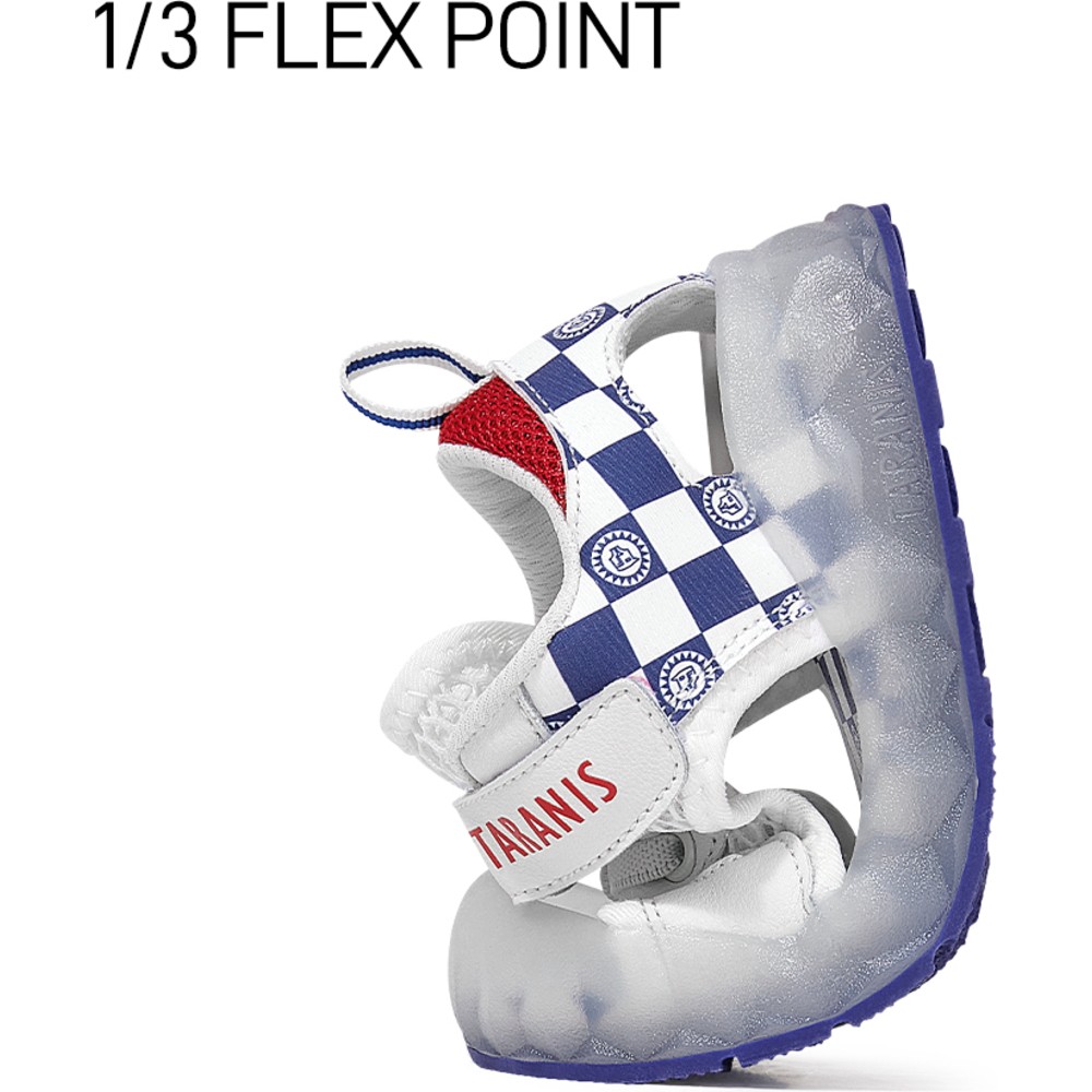 Taranis Boy's Mesh & Rubber Sandals - Blue/White