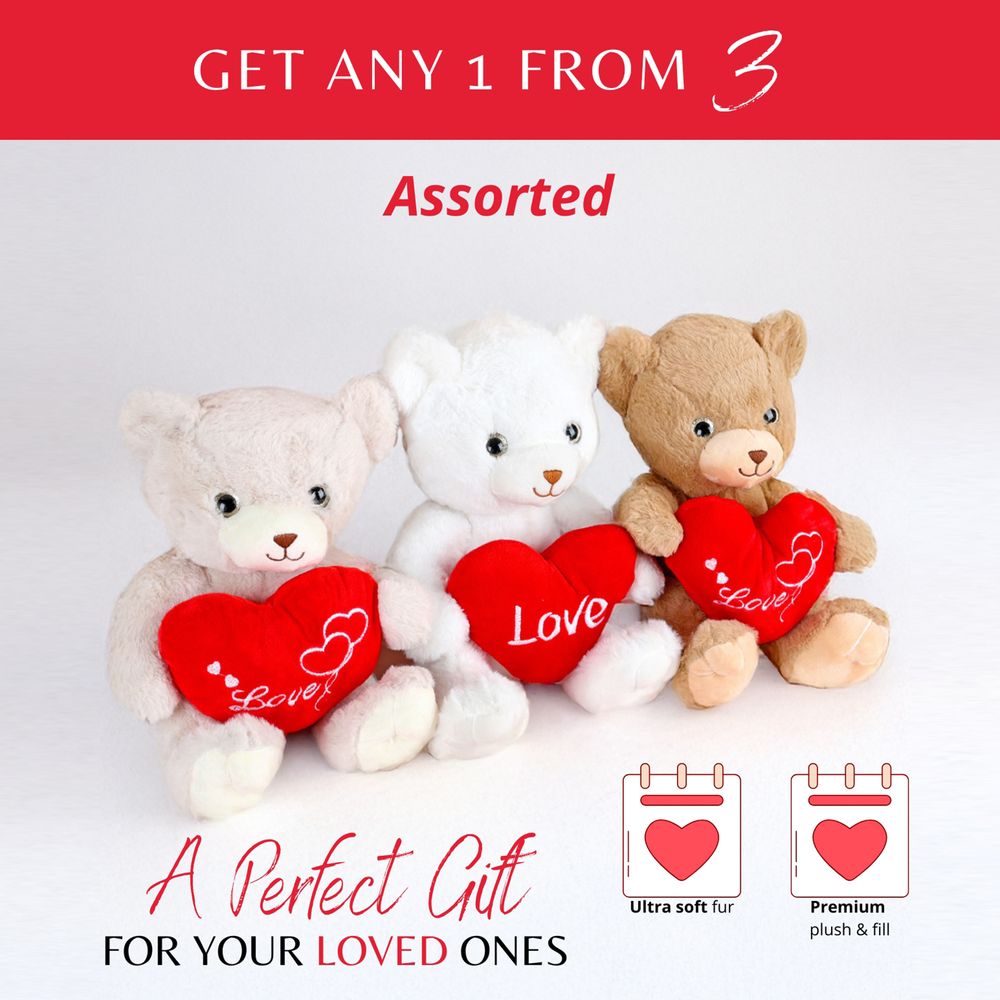 Share the Love - Love Hug Teddy Assorted - 25cm