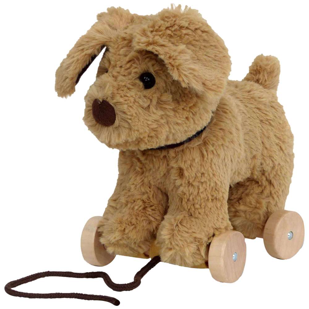 Little Bird Told Me - Dexter Dog Pull Along Toy - Brown