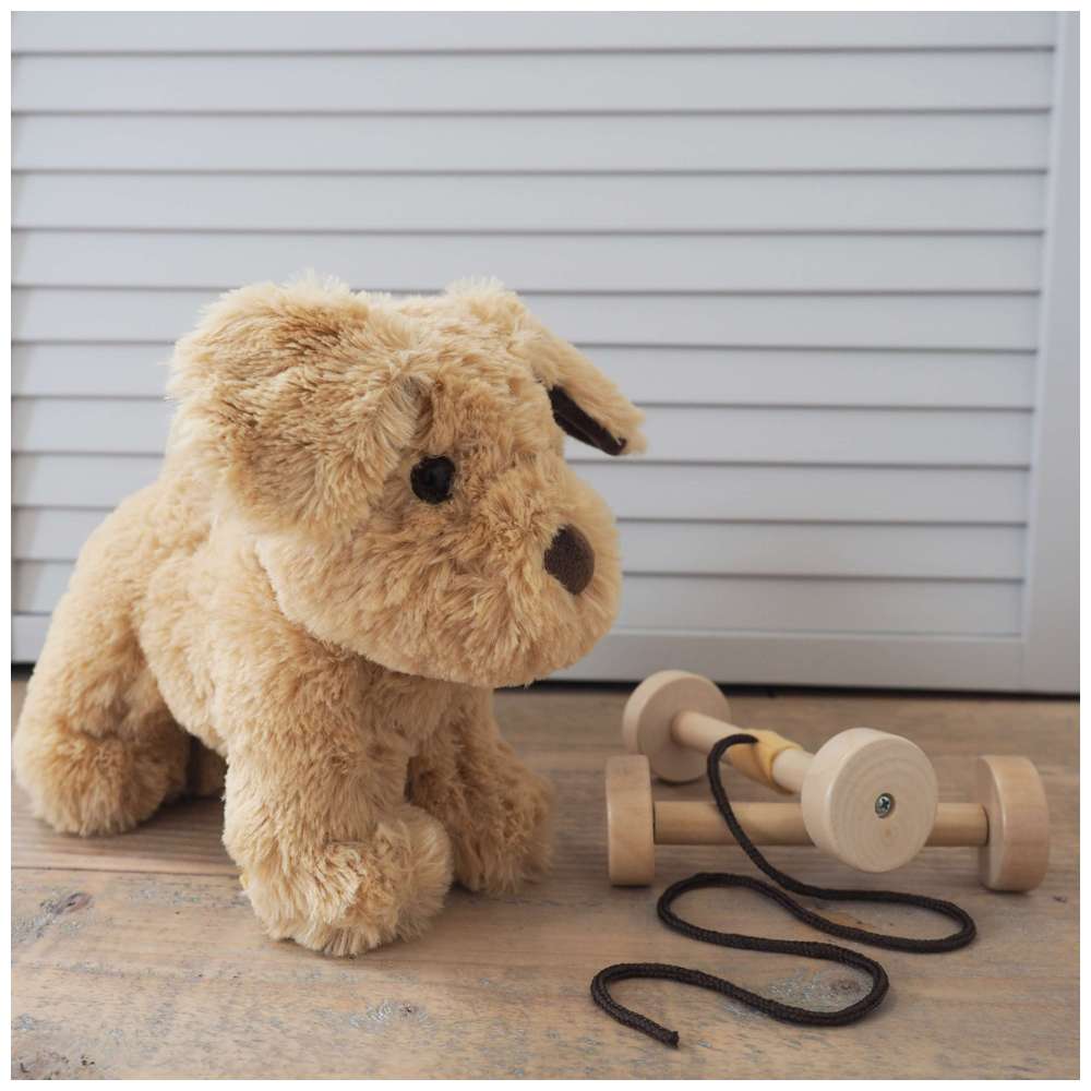 Little Bird Told Me - Dexter Dog Pull Along Toy - Brown