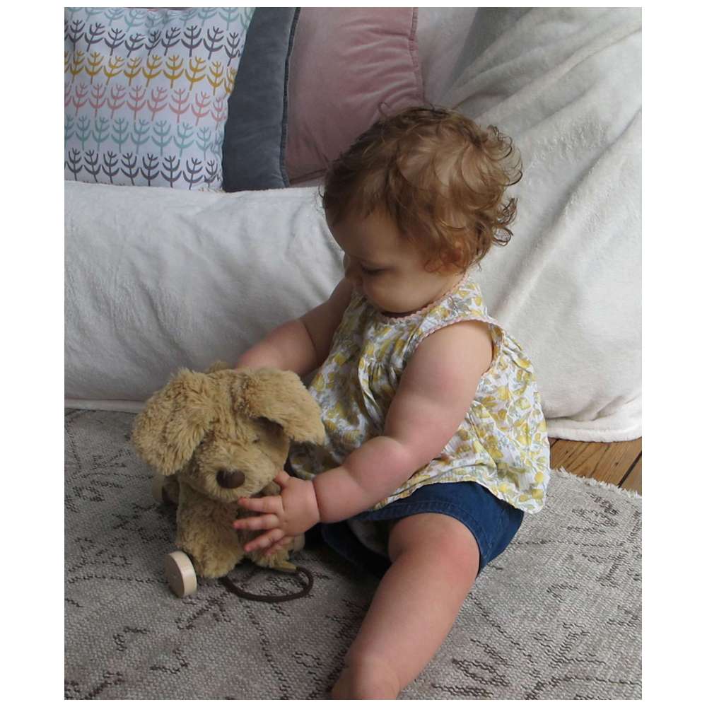 Little Bird Told Me - Dexter Dog Pull Along Toy - Brown